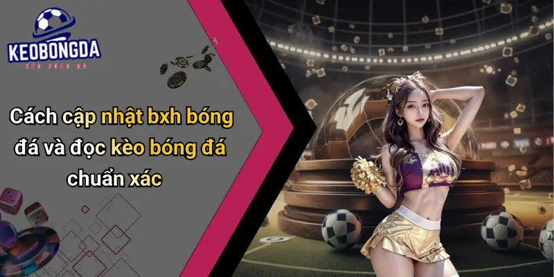 Cách cập nhật bxh bóng đá và đọc kèo bóng đá chuẩn xác