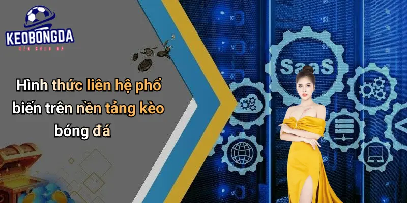 Hình thức liên hệ phổ biến trên nền tảng kèo bóng đá
