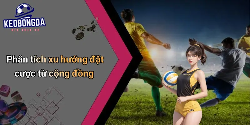 Phân tích xu hướng đặt cược từ cộng đồng