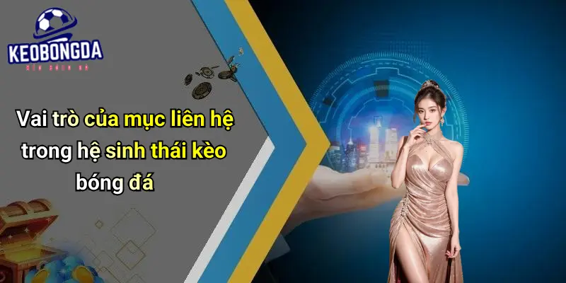 Vai trò của mục liên hệ trong hệ sinh thái kèo bóng đá