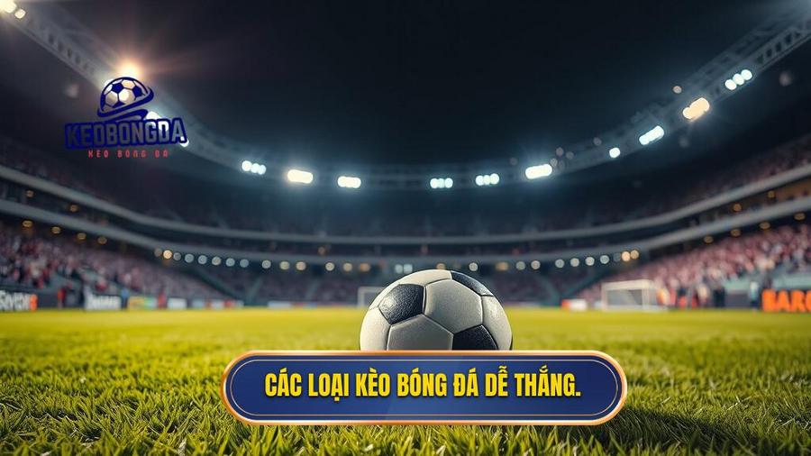 2. Các loại kèo bóng đá dễ thắng.